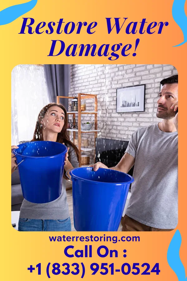 water restoration National Disaster Recovery LLC Monroe City