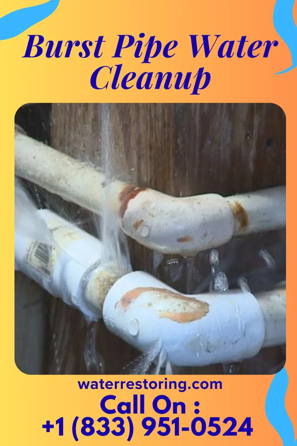 Burst Pipe Water Cleanup in Monroe City, IN