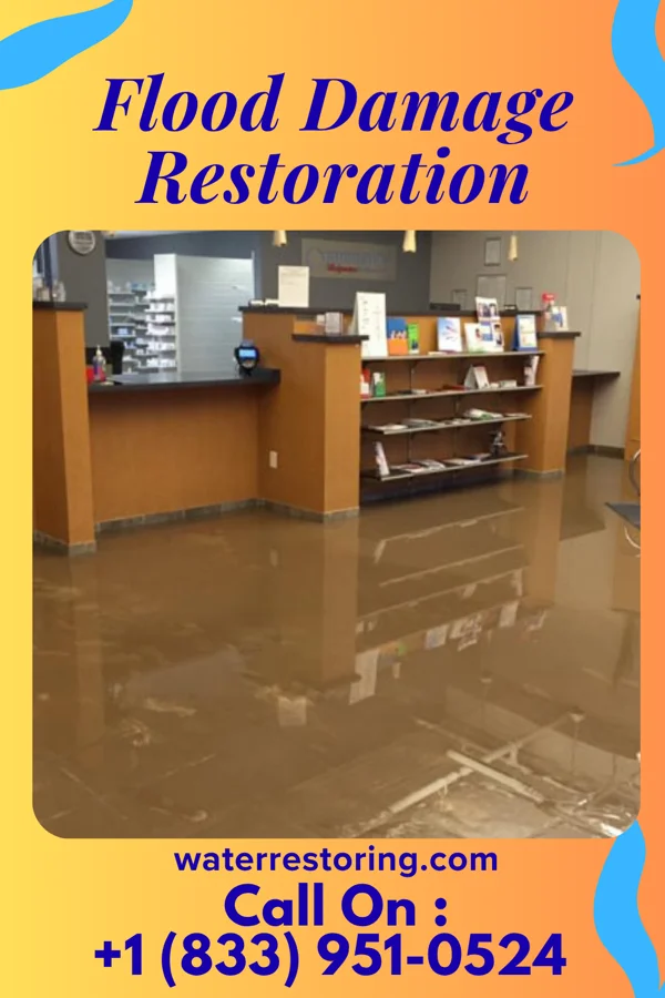 Flood Damage Restoration in Monroe City, IN