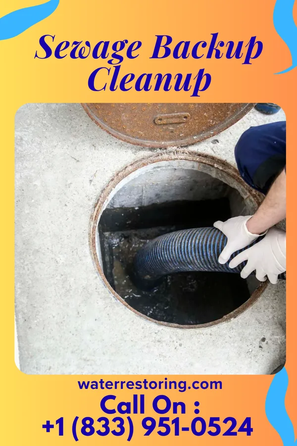 Sewage Backup Cleanup in Monroe City, IN