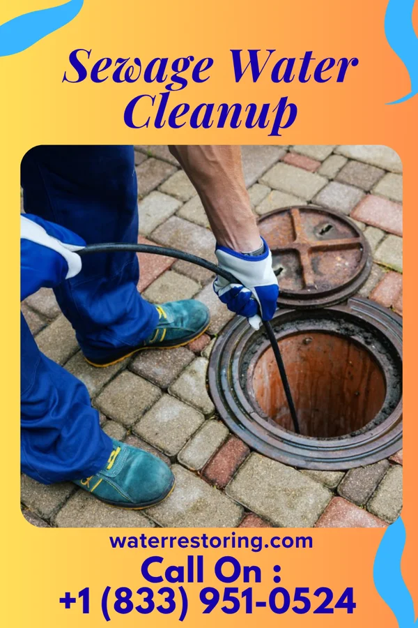 Sewage Water Cleanup in Monroe City, IN